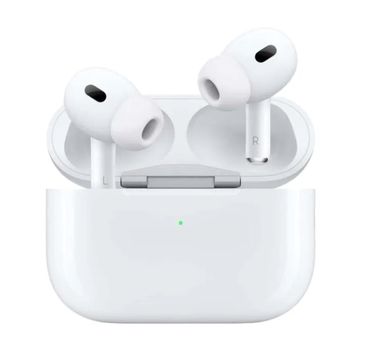 Earphone (2nd generation)
with Magnetic Charging Case (USB-C)
